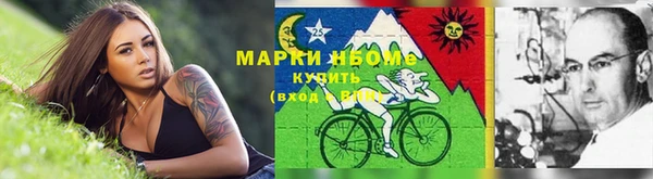 индика Лабытнанги