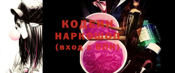 индика Лабытнанги