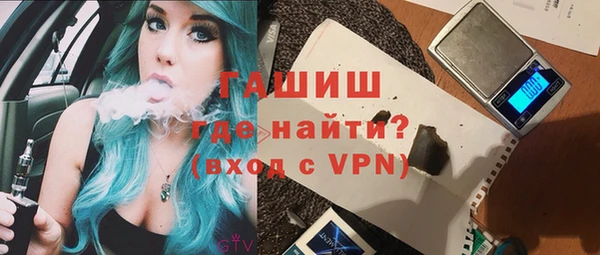 индика Лабытнанги